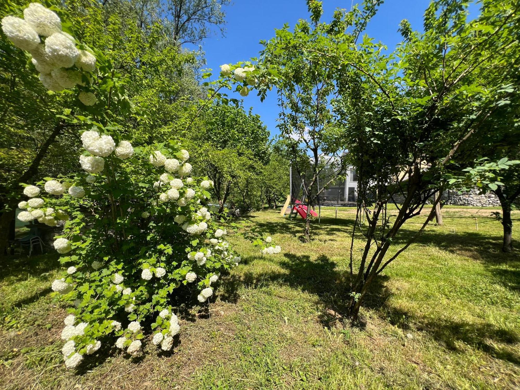 Anur Apartment Bihać Eksteriør bilde
